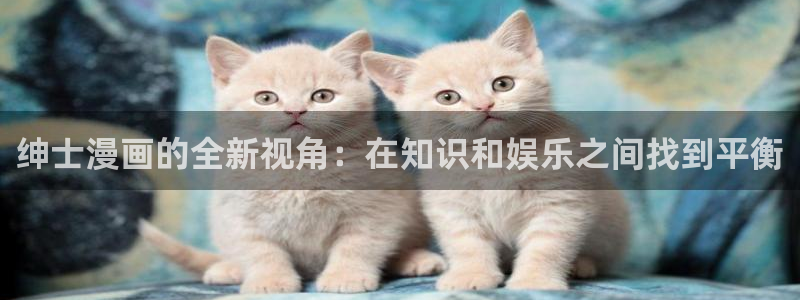 斗罗羞羞漫画：绅士漫画的全新视角：在知识和娱乐之间找到平衡